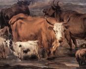 尼古拉 波桑 : Animal Study